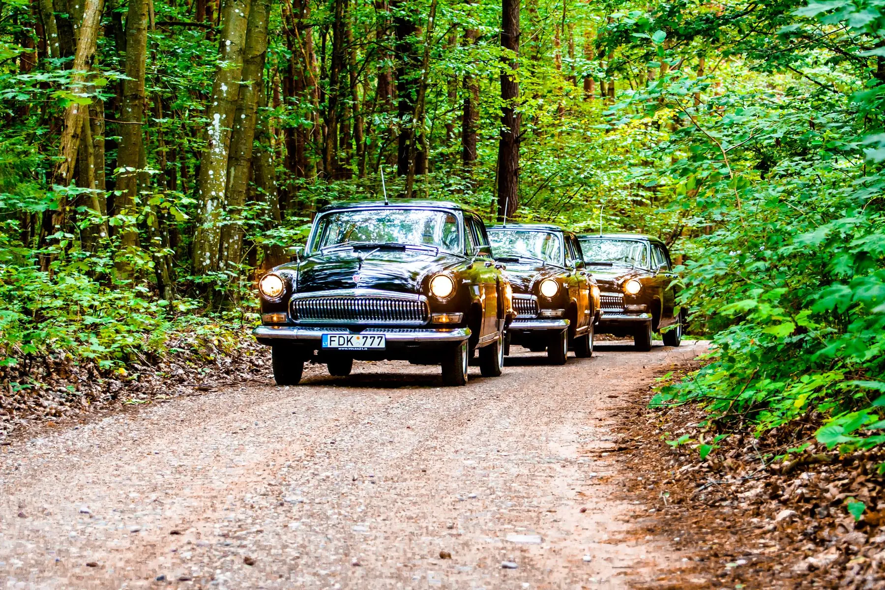 Retro automobilių kolona miško kelyje