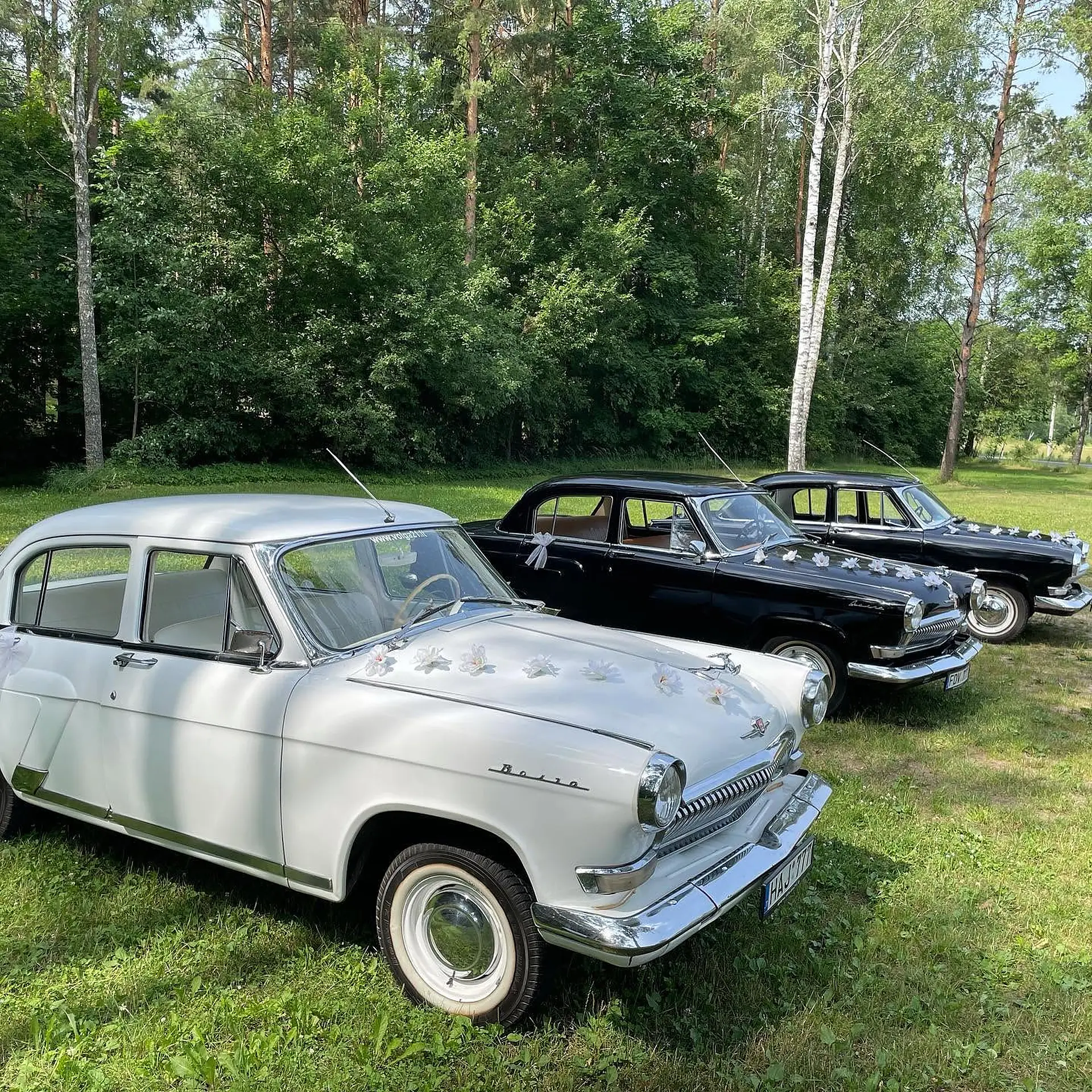 Balta ir juodos „Volgos“ parke